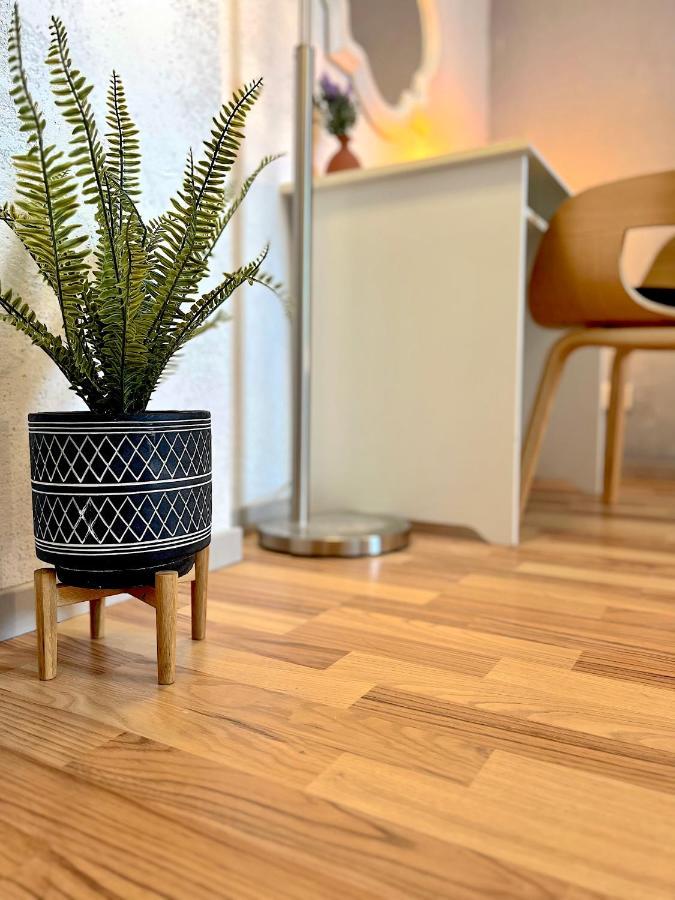 Elbling Apartment Mit Terrasse - Netflix - Parkplatz - Weinbergblick Meißen Eksteriør billede